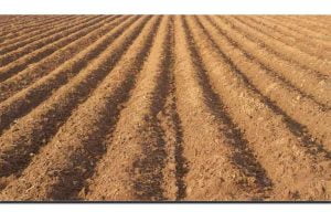 Furrow irrigation