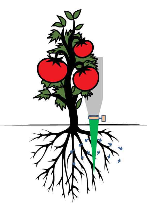 Irrigation with garden cone watering spike