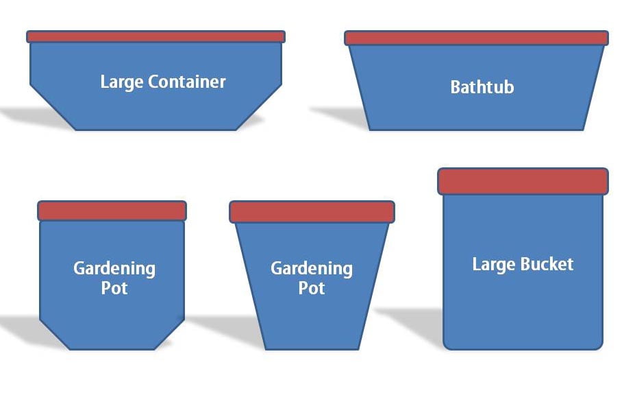 Growing tomatoes in containers