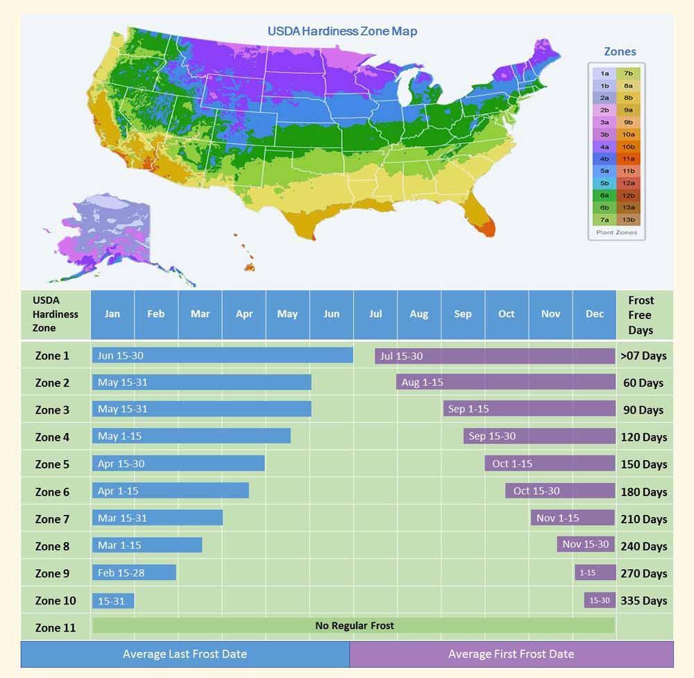 Planting zones for growing tomatoes 