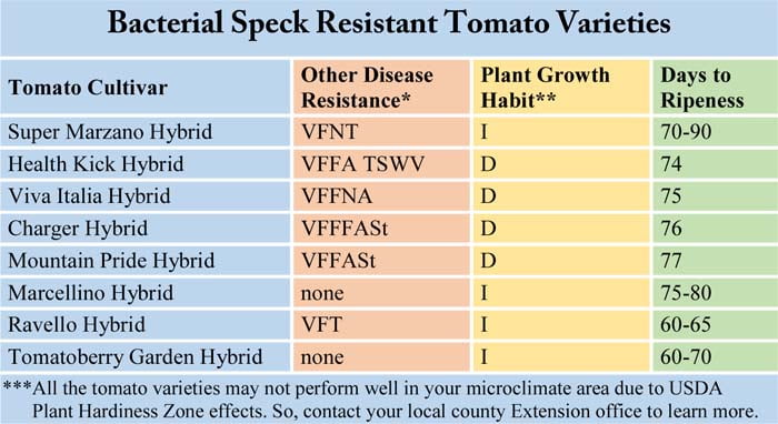 Bacterial Speck Resistant Tomato Varieties