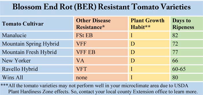 Blossom End Rot (BER) Resistant Tomato Varieties