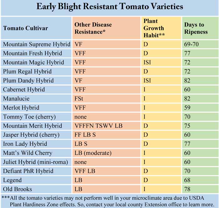 Early Blight Resistant Tomato Varieties