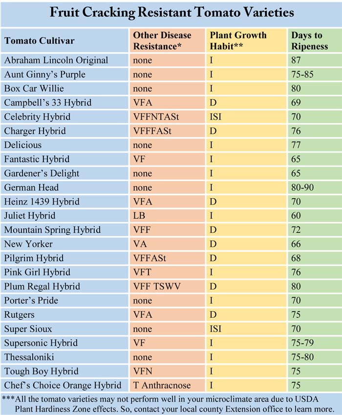 Fruit Cracking Resistant Tomato Varieties