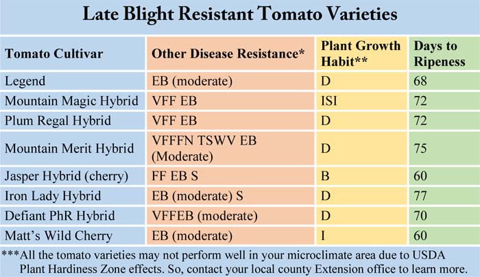 Late Blight Resistant Tomato Varieties