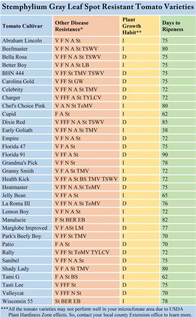 Gray Leaf Spot Resistant Tomato Varieties