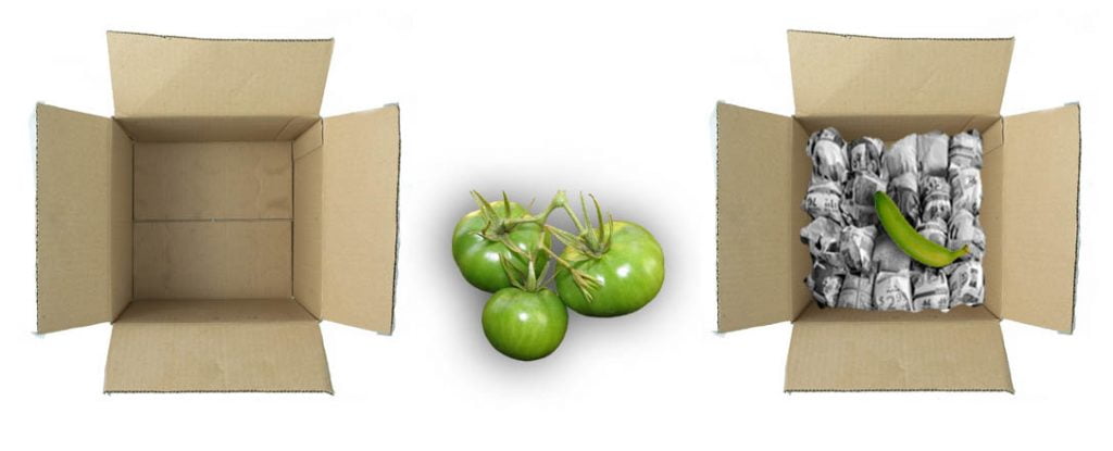 Ripening Green Tomatoes in Cardboard Box,  Ripening Green Tomatoes by Wrapping Newspaper