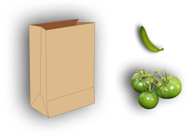 Ripening Green Tomatoes with a brown paper bag