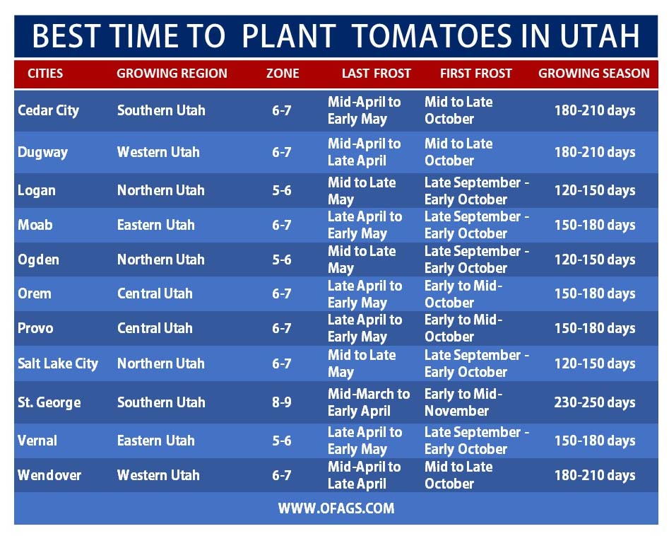 When to plant tomatoes in Utah 