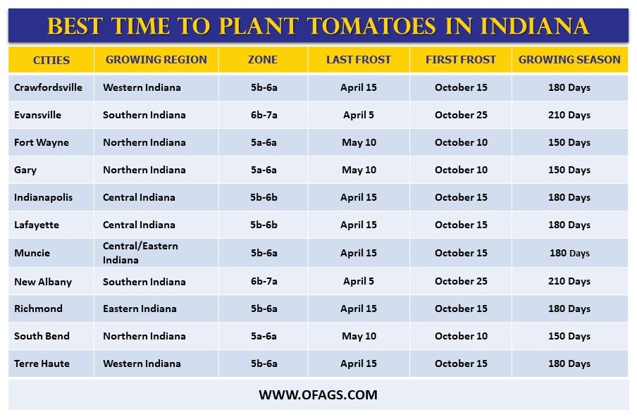 Best time to Plant Tomatoes in Indiana
