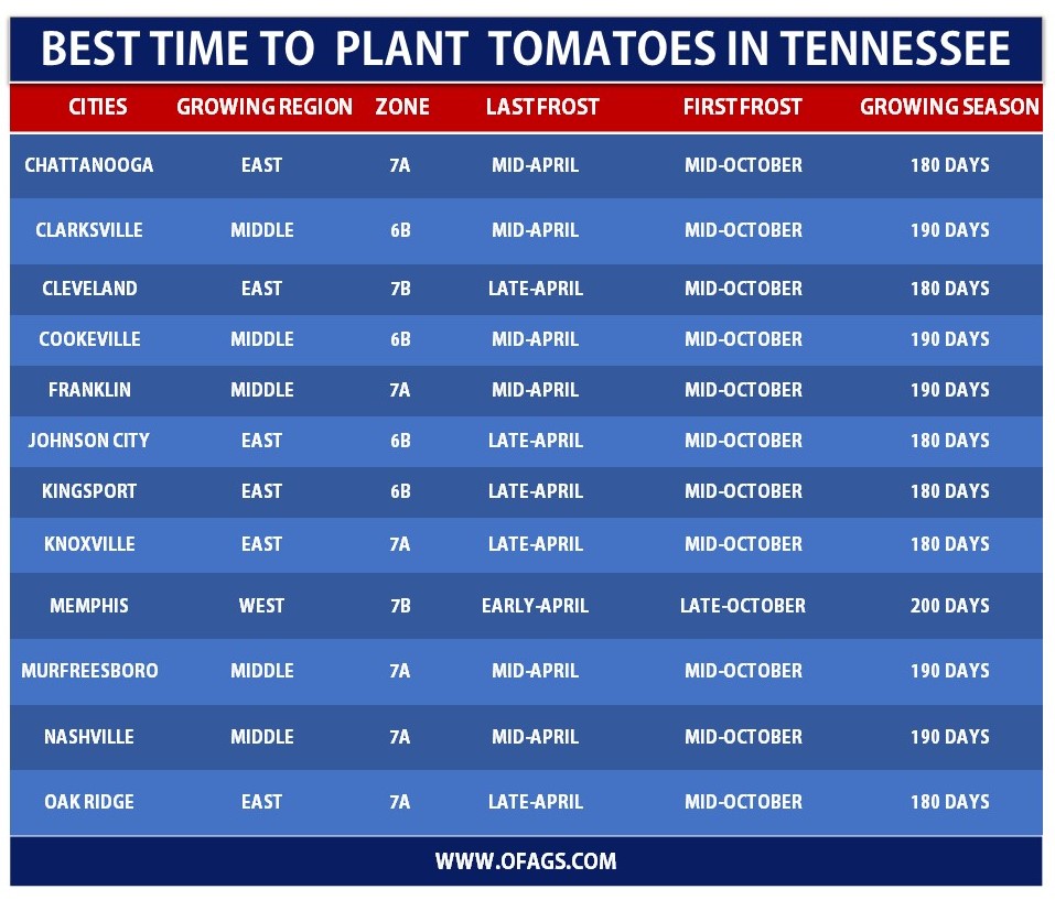 Best time to Grow Tomatoes in Tennessee