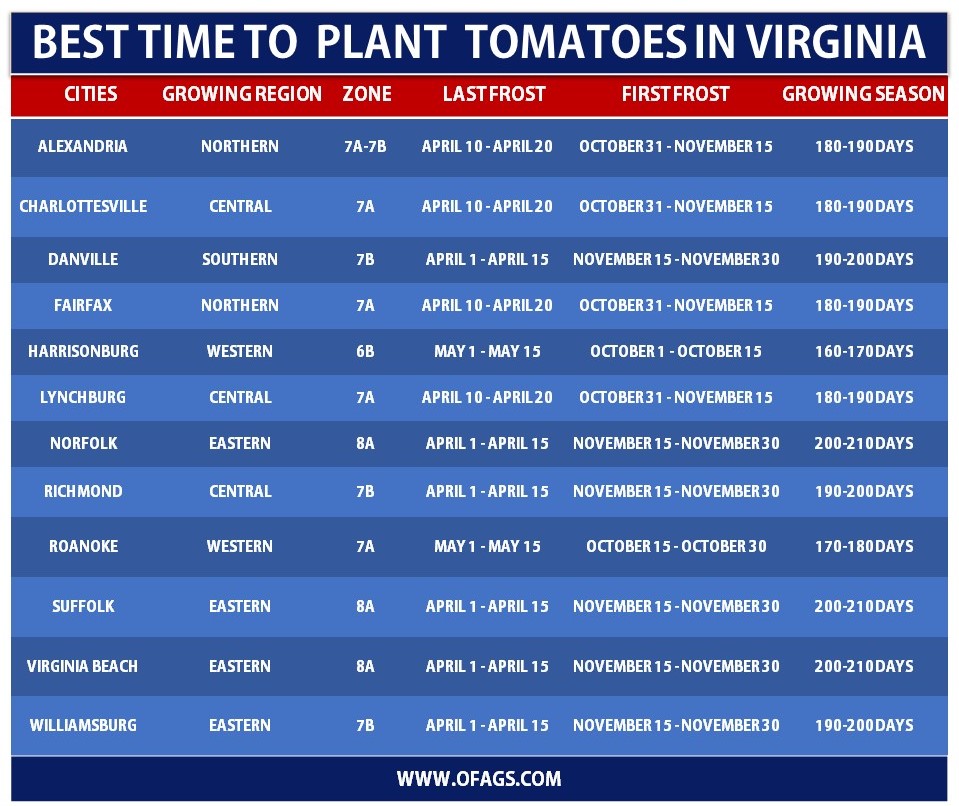 Best time to Grow Tomatoes in Virginia