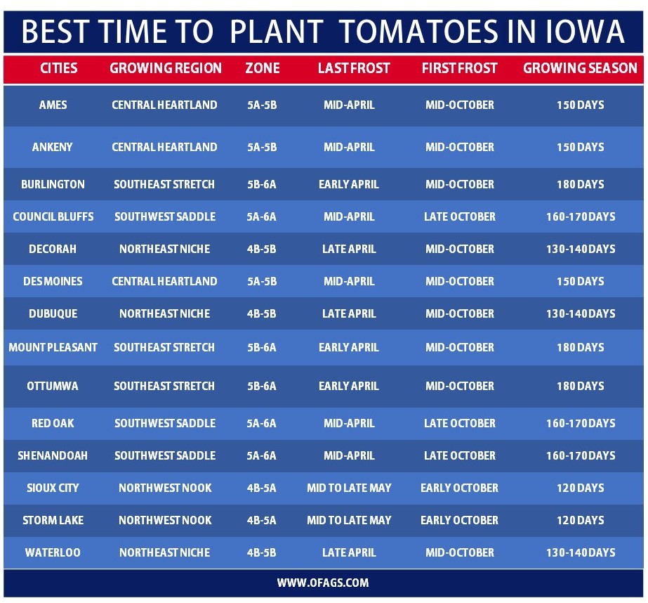 Best time to Plant Tomatoes in Iowa