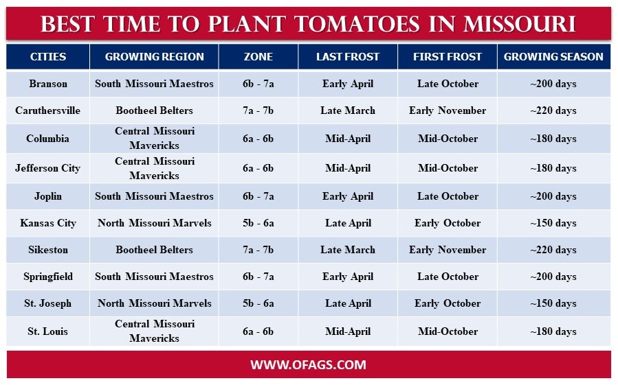 Best time to Plant Tomatoes in Missouri