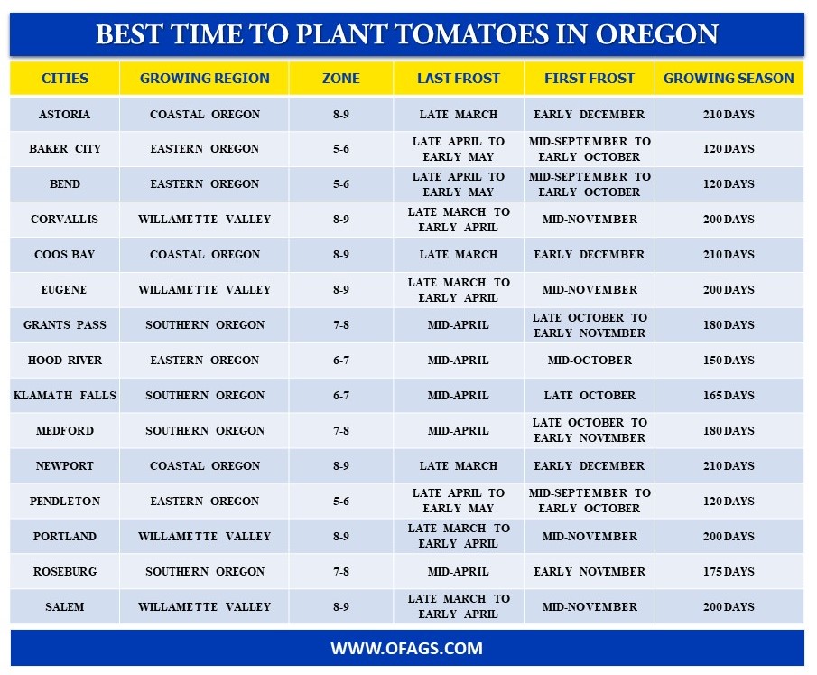 Best time to Plant Tomatoes in Oregon