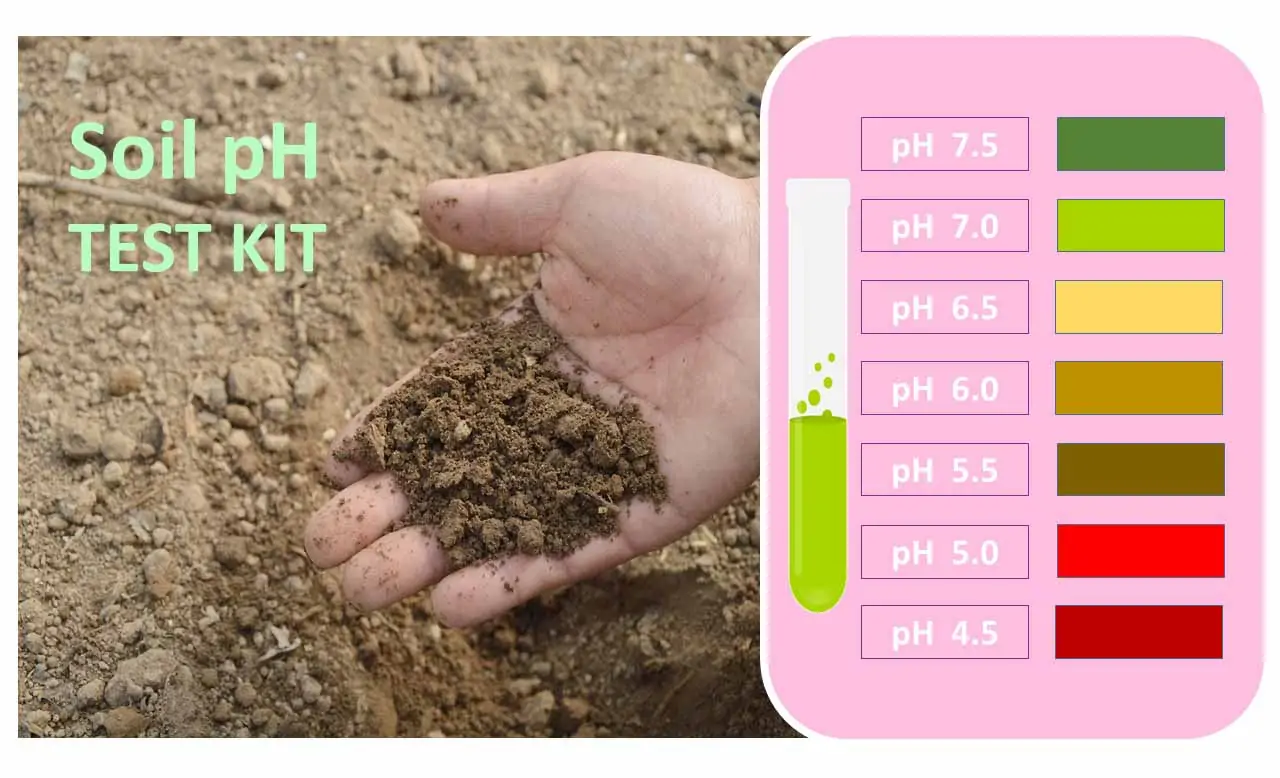 Soil pH test kit