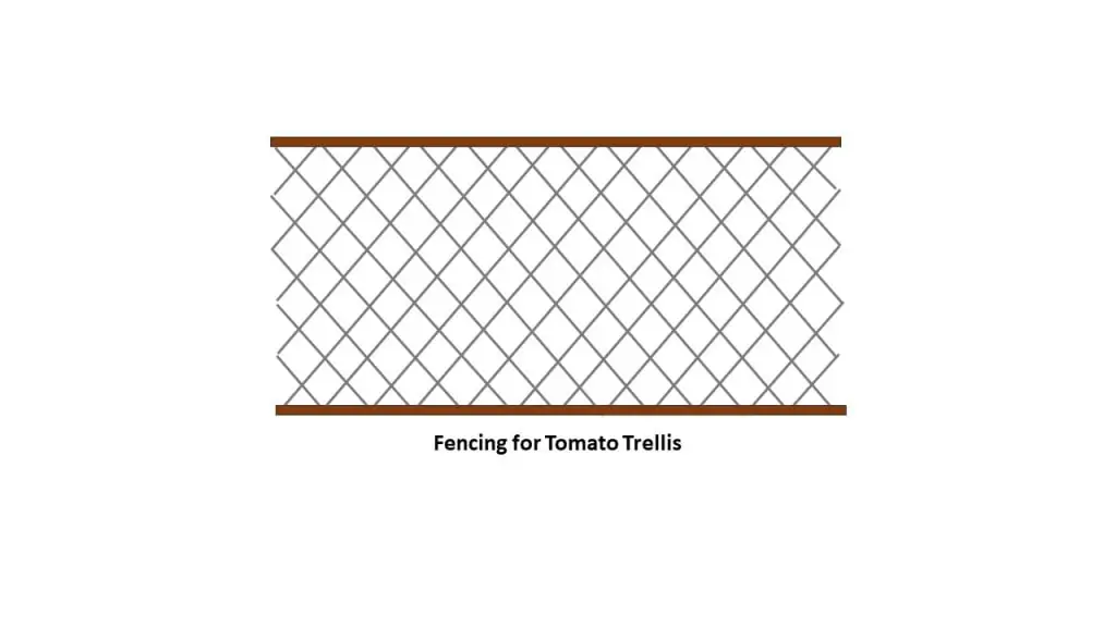 Fencing for Tomato Trellis